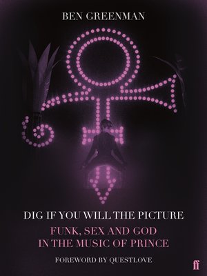 cover image of Dig If You Will the Picture